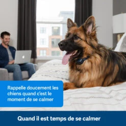 PetSafe ANTI ABOIEMENT SONORE RECHARGEABLE -Regatta Promos Boutique anti aboiement sonore rechargeable 2