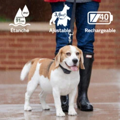 PetSafe ANTI ABOIEMENT SONORE RECHARGEABLE -Regatta Promos Boutique anti aboiement sonore rechargeable 3