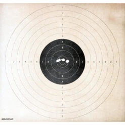 BALLE SANS PLOMB SPEED CALIBRE 12 X 5 -Regatta Promos Boutique balle sans plomb speed calibre 12 x 5 6