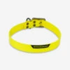 Collier Chien Jaune Fluo 500