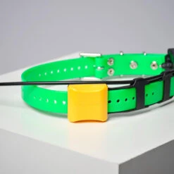 COLLIER SUPPLEMENTAIRE REPERAGE & DRESSAGE DOGTRA PATHFINDER V2. -Regatta Promos Boutique collier supplementaire reperage and dressage dogtra pathfinder v2 6