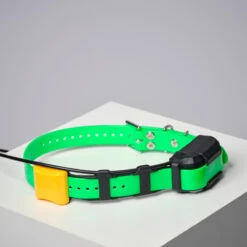 COLLIER SUPPLEMENTAIRE REPERAGE & DRESSAGE DOGTRA PATHFINDER V2. -Regatta Promos Boutique collier supplementaire reperage and dressage dogtra pathfinder v2 7