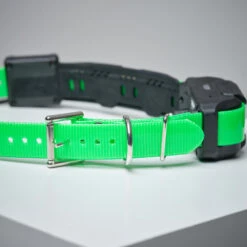 Collier Supplémentaire Repérage Et Dressage Pour Chien Dogtra Pathfinder 10 Collier Supplémentaire Repérage Et Dressage Pour Chien Dogtra Pathfinder -Regatta Promos Boutique collier supplementaire reperage et dressage pour chien dogtra pathfinder 2