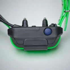 Collier Supplémentaire Repérage Et Dressage Pour Chien Dogtra Pathfinder 14 Collier Supplémentaire Repérage Et Dressage Pour Chien Dogtra Pathfinder -Regatta Promos Boutique collier supplementaire reperage et dressage pour chien dogtra pathfinder 6