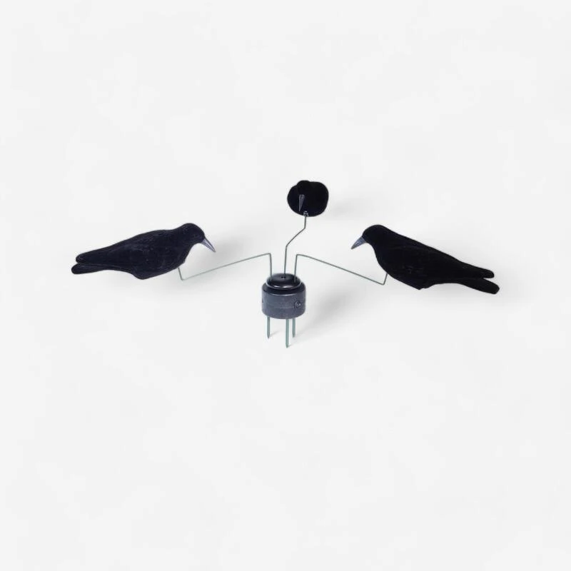 MANÈGE À CORBEAUX 1 MANÈGE À CORBEAUX