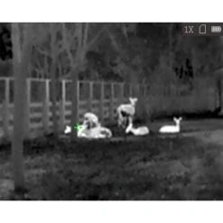 HikMicro Monoculaire De Vision Thermique Hik Micro Lynx Pro LE10 17 HikMicro Monoculaire De Vision Thermique Hik Micro Lynx Pro LE10 -Regatta Promos Boutique monoculaire de vision thermique hik micro lynx pro le10 7