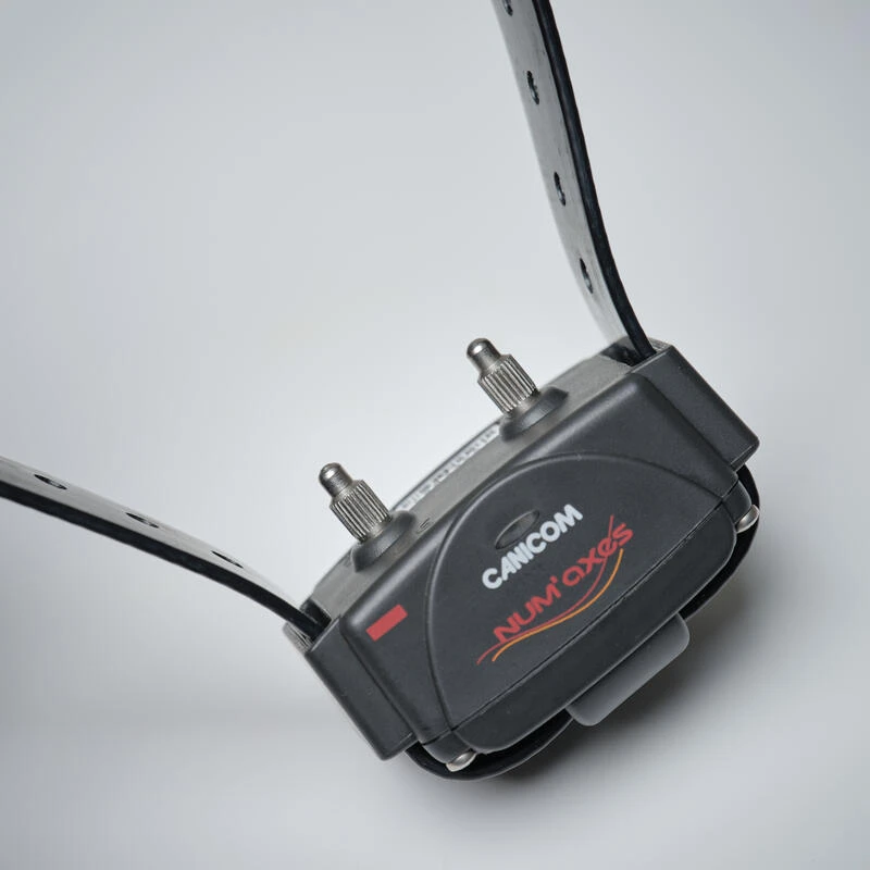 Pack Collier + Télécommande De Dressage Pour Chien Num'axes Canicom 300 6 Pack Collier + Télécommande De Dressage Pour Chien Num'axes Canicom 300 – Image 6