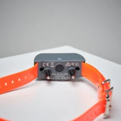 Pack Collier + Télécommande De Dressage Pour Chien Sportdog SD-875 -Regatta Promos Boutique pack collier telecommande de dressage pour chien sportdog sd 875 2