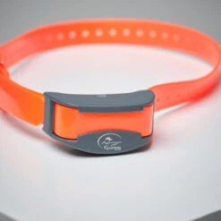 Pack Collier + Télécommande De Dressage Pour Chien Sportdog SD-875 -Regatta Promos Boutique pack collier telecommande de dressage pour chien sportdog sd 875 3