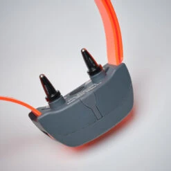 Pack Collier + Télécommande De Dressage Pour Chien Sportdog SD-875 -Regatta Promos Boutique pack collier telecommande de dressage pour chien sportdog sd 875 4