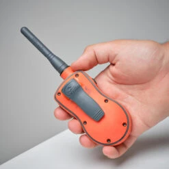 Pack Collier + Télécommande De Dressage Pour Chien Sportdog SD-875 -Regatta Promos Boutique pack collier telecommande de dressage pour chien sportdog sd 875 6