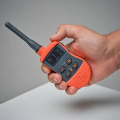 Pack Collier + Télécommande De Dressage Pour Chien Sportdog SD-875 -Regatta Promos Boutique pack collier telecommande de dressage pour chien sportdog sd 875 7