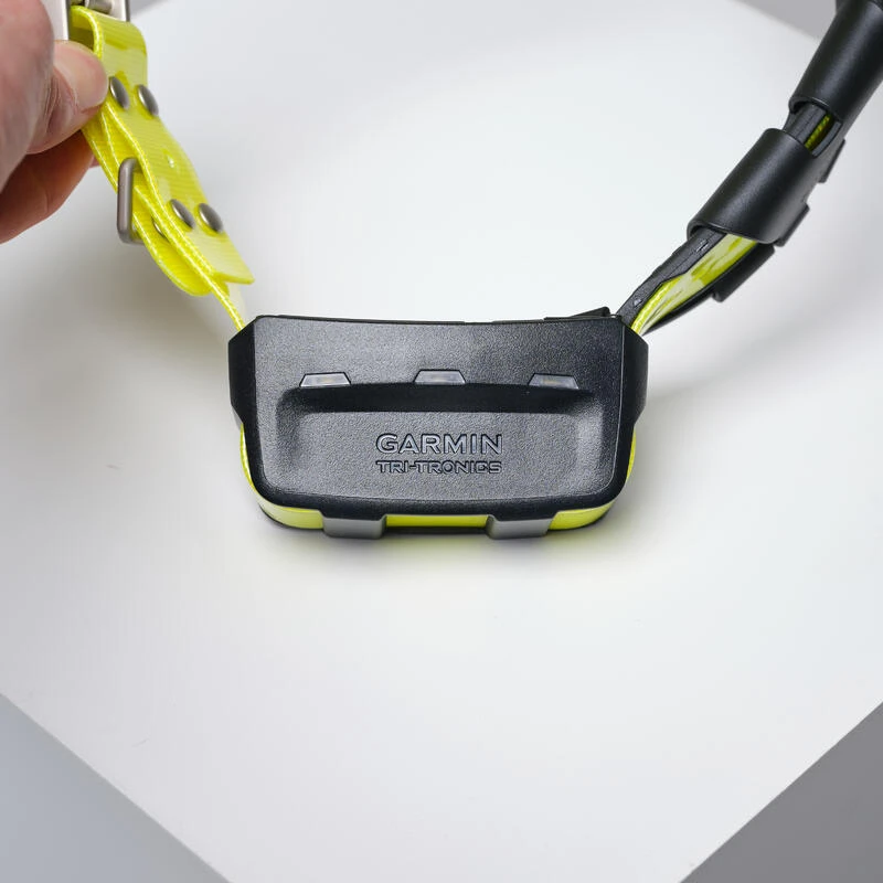 PACK COLLIER + TÉLÉCOMMANDE DE REPÉRAGE/DRESSAGE CHIEN GARMIN ALPHA 200 T5X 9 PACK COLLIER + TÉLÉCOMMANDE DE REPÉRAGE/DRESSAGE CHIEN GARMIN ALPHA 200 T5X – Image 9