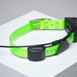 PACK COLLIER + TÉLÉCOMMANDE DE REPÉRAGE/DRESSAGE CHIEN GARMIN ALPHA 200 TT15X 17 PACK COLLIER + TÉLÉCOMMANDE DE REPÉRAGE/DRESSAGE CHIEN GARMIN ALPHA 200 TT15X -Regatta Promos Boutique pack collier telecommande de reperagedressage chien garmin alpha 200 tt15x 7