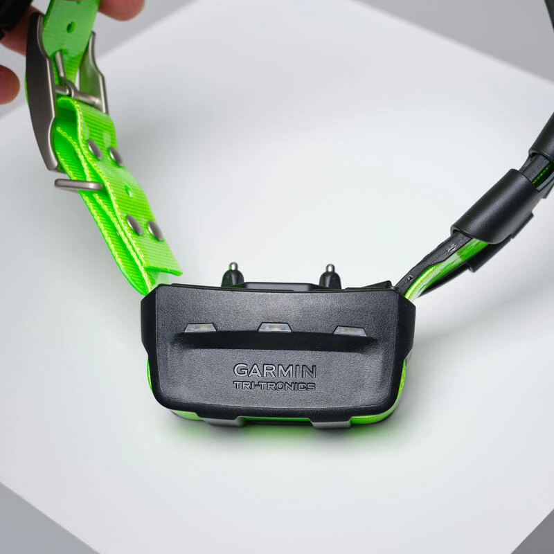 PACK COLLIER + TÉLÉCOMMANDE DE REPÉRAGE/DRESSAGE CHIEN GARMIN ALPHA 200 TT15X 9 PACK COLLIER + TÉLÉCOMMANDE DE REPÉRAGE/DRESSAGE CHIEN GARMIN ALPHA 200 TT15X – Image 9