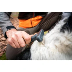 No Brand PEIGNE 37 DENTS POUR CHIEN -Regatta Promos Boutique peigne 37 dents pour chien 4