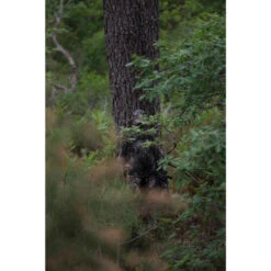 VESTE FEMME CHASSE SILENCIEUSE RESPIRANTE CAMOUFLAGE 500 -Regatta Promos Boutique veste femme chasse silencieuse respirante camouflage 500 5